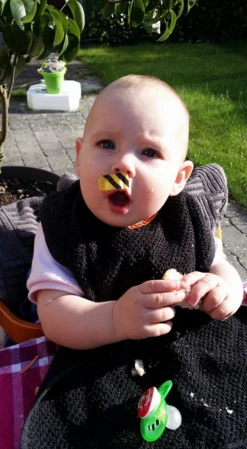 Bee-Patch -Expe Camping Magasin anti venin guepes abeilles frelon bourdon beepatch