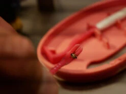 Clipbox Tick Twister -Expe Camping Magasin crochet anti tiques ticktwister 02