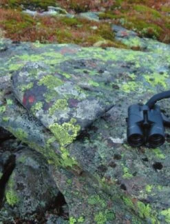 Jerven Fjellduken Hunter -Expe Camping Magasin jervenbag hunter montain